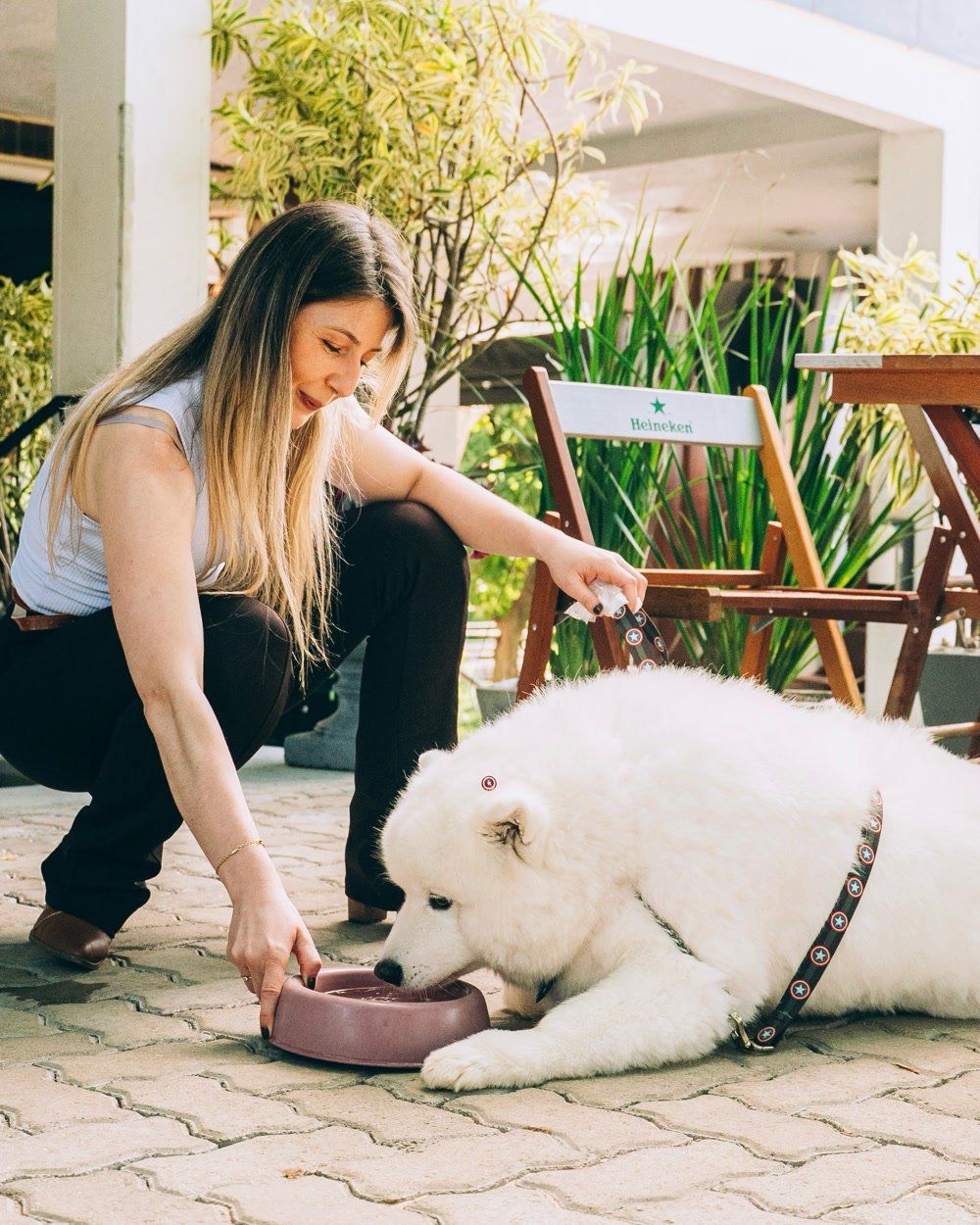 Área externa pet friendly do Marquês
